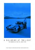 (image for) A Gullwing at Twilight: The Bonneville Ride of John Fitch